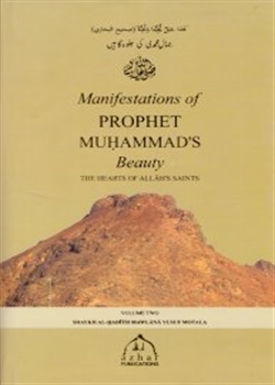 Manifestations Of Prophet Muhammad's Beauty: Yusuf Motala, Vol 2